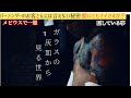 [突撃取材]バーテンダーの秘密[メビウスオプション5]