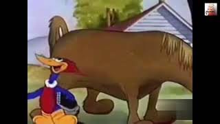 Meme Pica Pau Minha Nossa Nossa Nossa