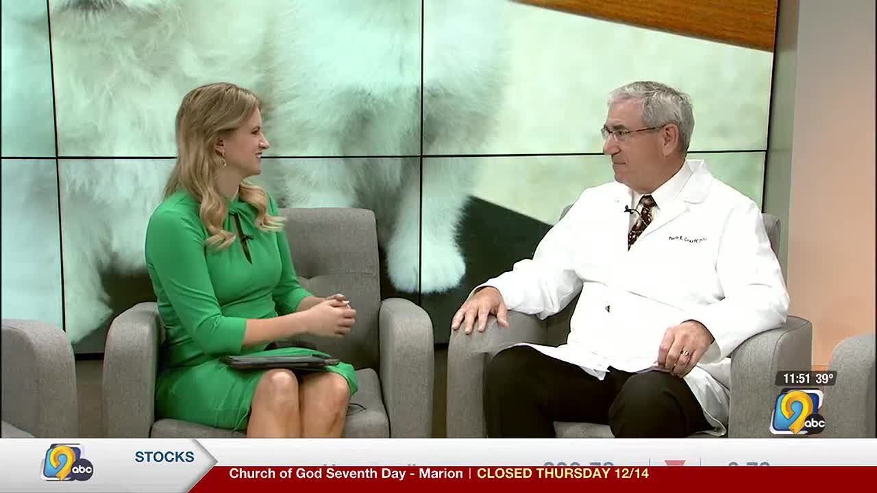 How to pet-proof your holiday decor and what not to feed your pets at holiday gatherings