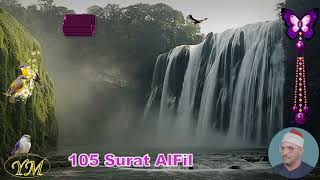 105 Surat AlFil الشيخ الشحات محمد أنور القرآن الكريم كامل جودة عالية سورة الفيل