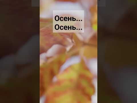 Осень.... #christiansongs #христианскиепесни #музыка #рекомендации