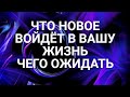 ЧТО НОВОЕ ВОЙДЁТ В ВАШУ ЖИЗНЬ. ЧЕГО ОЖИДАТЬ. ГАДАНИЕ ОНЛАН. ИРИНА ЗАХАРЧЕНКО.