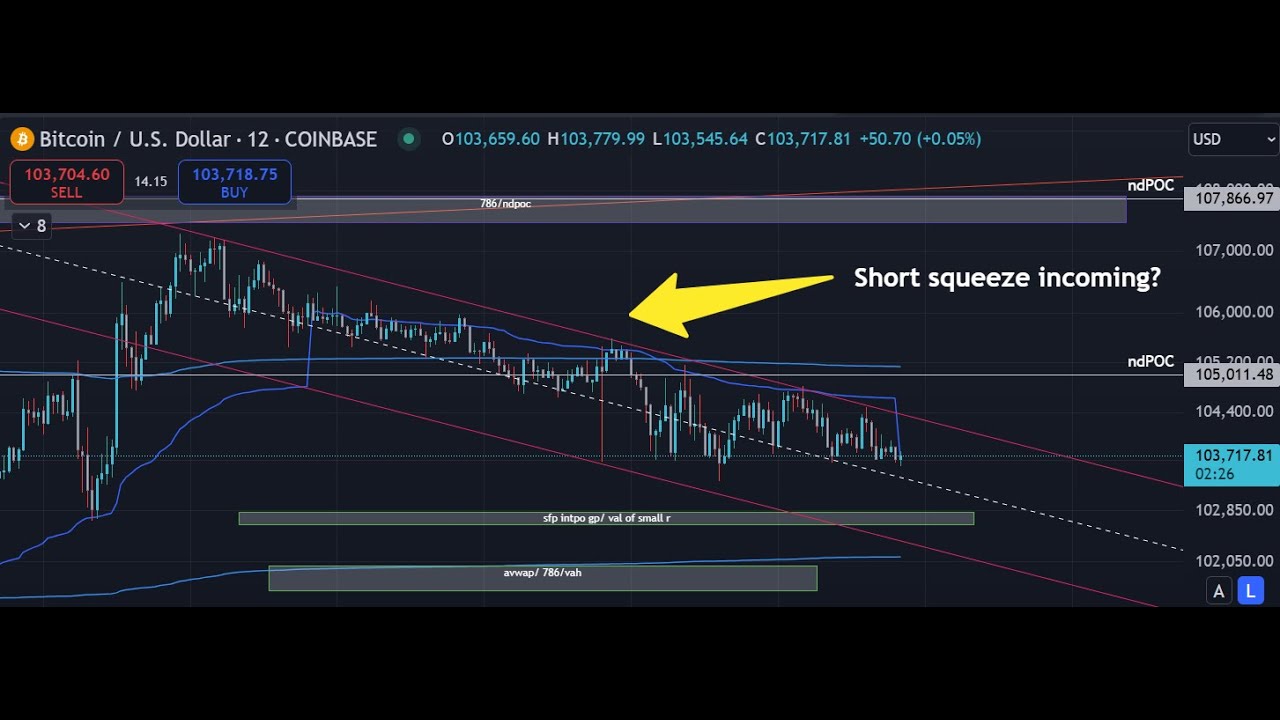 Bitcoin about to invalidate our bullish absorption. Could we drop further? Alts  update!