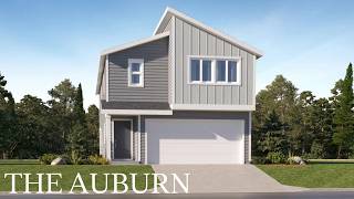 The Auburn