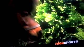 Racing Stripes Stripes Vs Trentons