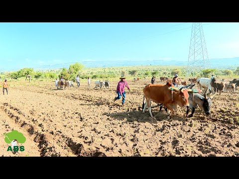 Magaalaa Adaamaa Kutaa Magaalaa Boolee Aanaa Dhakaa Adiitti Qonni Gannaa Eegale