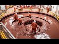 How chocolate is made