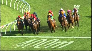 2012 Golden Rose Stakes - Epaulette.
