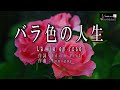 No 170 バラ色の人生 (歌詞入り) La vie en rose【名曲シャンソンのご紹介 歌:E.ハリマ ピアノ伴奏:中村力(ピアノカラオケ)】