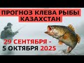 ПРОГНОЗ КЛЁВА в Казахстане с 29 сентября по 5 октября 2025 года Бросай все и на рыбалку!