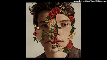 Shawn Mendes - Fallin' All in You [Audio]