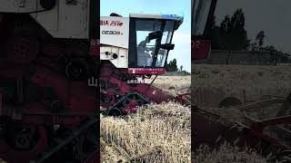 Triangular tracked harvester enters wheat field #lawnmower #automobile #lawnmowingbusiness