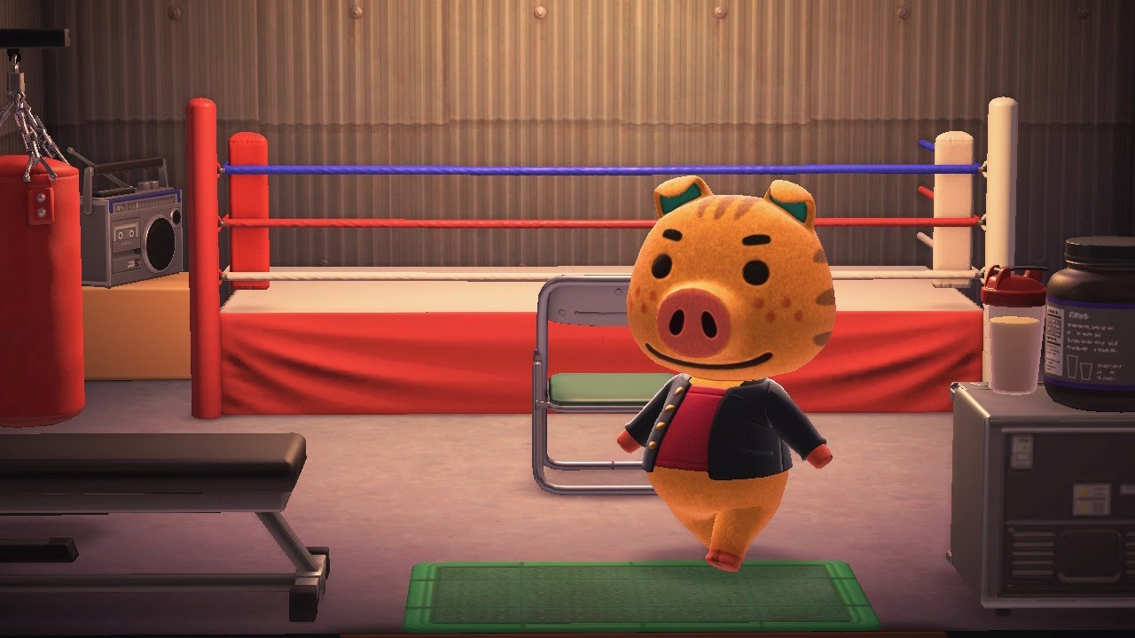 Animal crossing kevin