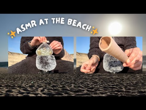 ASMR AT THE BEACH *gets windy*