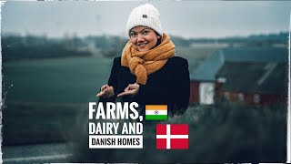 VILLAGE LIFE in World's HAPPIEST Country | Denmark |