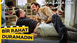 Birlikte Güldüğümüz Sahneler #35 - Nerede Lan Paketler! | Çakallarla Dans