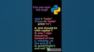 Can You Spot The Bug In This Python Code? Pt. 5 #shorts #short #coding #python #puzzle #debugging