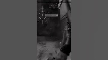 MW2 shipment DOUBLE Headshot Collateral and a no scope!