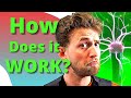 How do Plasma Balls work? Plasma ball explained! Mp3 Song