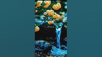 إِنَّ ٱلۡمُتَّقِينَ فِي جَنَّٰتٖ وَنَعِيمٖ /القارئ #محمدصديق#المنشاوي من سورة #الطور