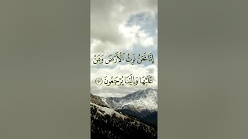 سورة مريم مكتوبة للقارى مشاري العفاسي