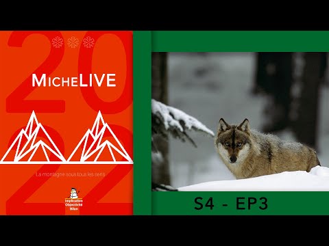 La faune et la flore en montagne (S4.Ep03) Guide MicheLa