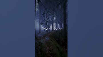 ماتيسر من سوره فاطر للقارئ #عمر_ضياء_الدين #عمر_بن_ضياء_الدين #كنوز_القرآن