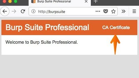 Burp Suite Community Edition SSL Certificate Installation Guide | Secure Your Web Environment