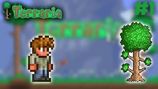 Terraria 1.4 journey's end - dev's gaff episode 1