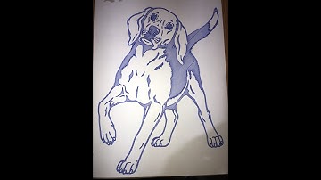 Бигль. Что может плоттер с чпу управлением ардуино