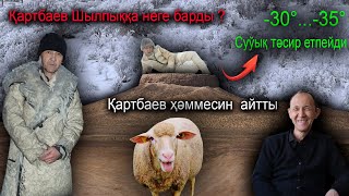 Қартбаев Шылпыққа неге барды?