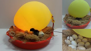 How to make a home incubator from a balloon is very easy | كيف تصنع حاضنة منزلية من بالون سهل جدا