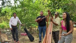 Miniatura del video "Guayabo pasajero - Rosangela Belisario y en el Arpa el maestro Felix Pantoja"