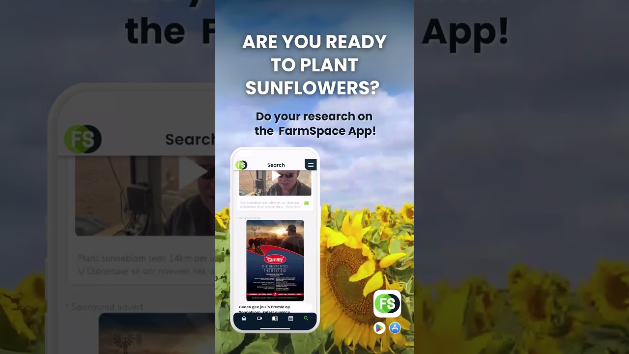 Get all the info you need about sunflowers, this planting season on the FarmSpace App.