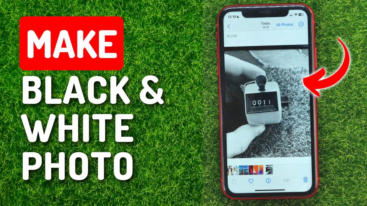 from-ordinary-to-extraordinary-how-to-capture-striking-black-and-white