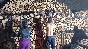 Cưa củi vô lò than đước 6 - 15cm tại cơ sở sx than củi Thanh Tú