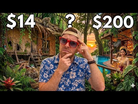 14 vs 200 Hotel in Ubud Bali Monkey Forest 2026 Guide