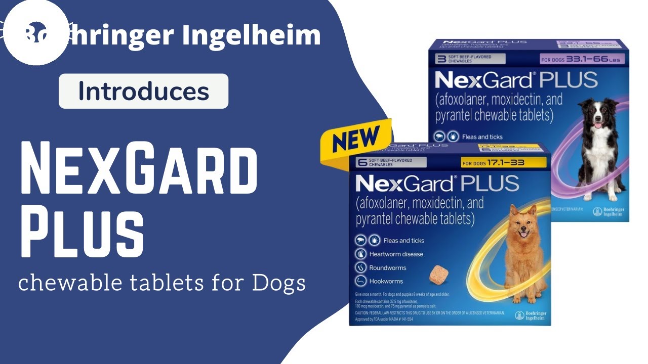 ⁣Meet NexGard Plus Chewable for Dogs, Boehringer Ingelheim's Latest Innovation