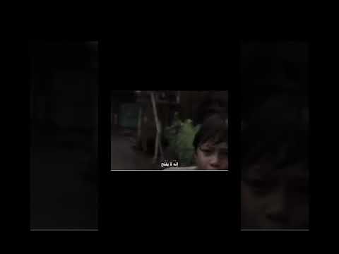 ؤمن الظلم من افترى على الله كذبا أو كذب باياته
