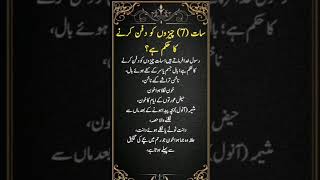 allah | muslim | muhammad | islam #shorts #short #shortfeed