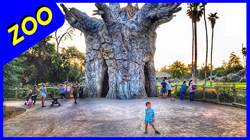 Fresno Chaffee Zoo - Great California Zoo (Awesome)