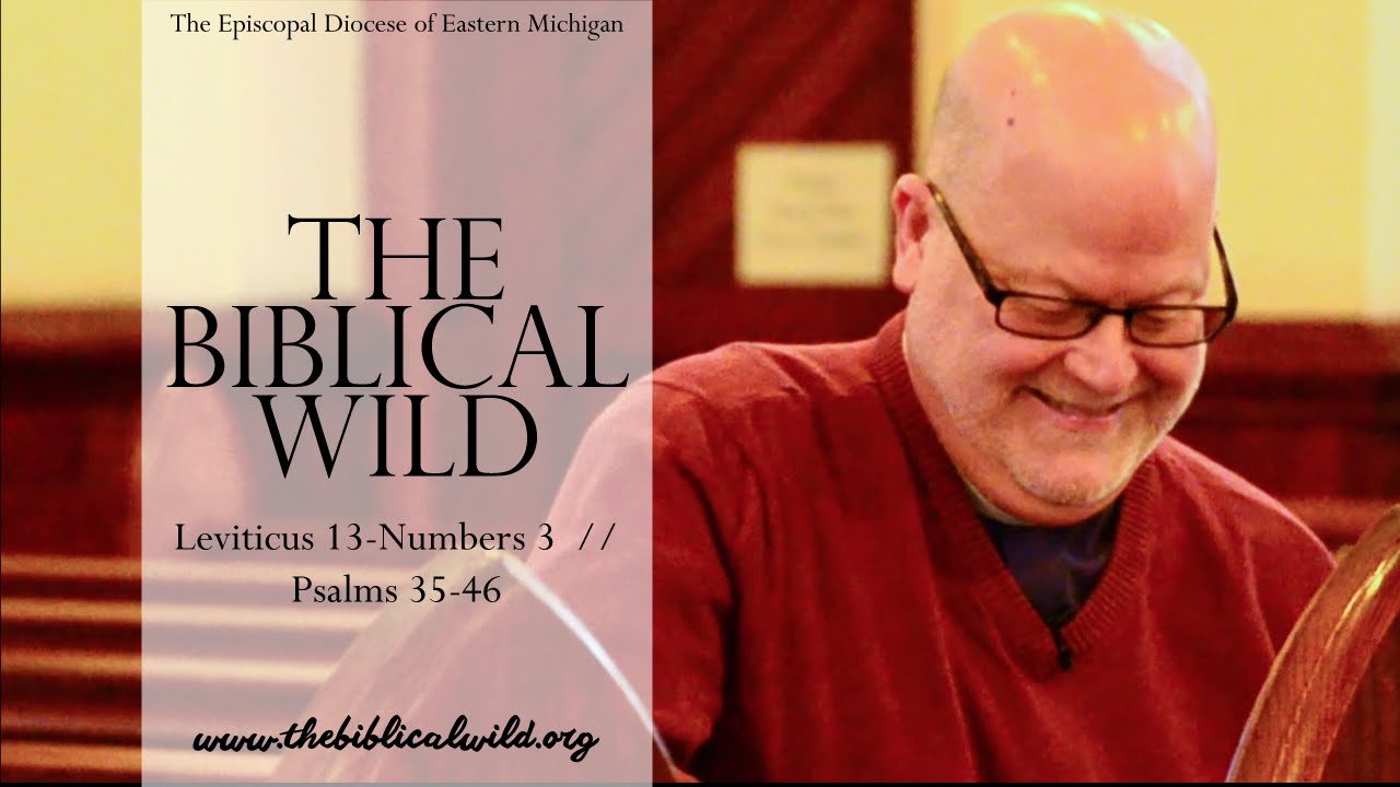 episcopal vicar The Biblical Wild: Week VII