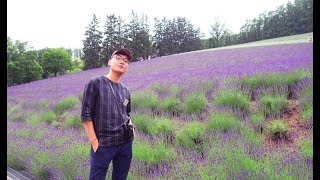 Furano 富良野市 - LAVENDER FARM Hokkaido + Summer Rain in JAPAN [HOKKAIDO VLOG]