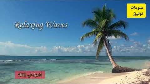 تلاوة هادئة للشيخ توفيق الصائغ سورة ص