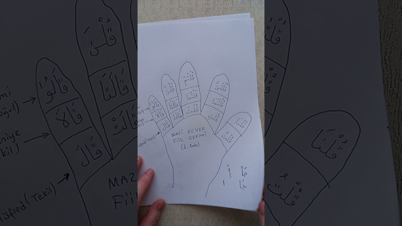 8. Ders: Arapça Mazi Fiil Çekimi ( Mâzi-Ecvef-1.Bâb)