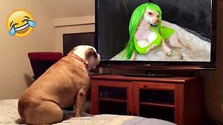 New Funny Animal Videos 2023 🐕🐈😁 - Funniest Dogs and Cats Videos 🥰🐶😻# 264 by Cuti Animals 2,368 views 8 months ago 9 minutes, 1 second