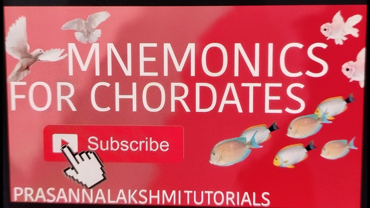 Least Busy Day For Animal Kingdom Least Busy Day For Animal Kingdom