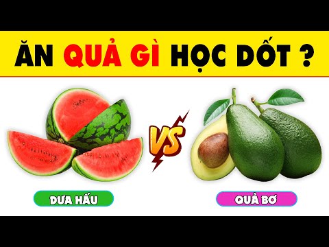 Video: Làm cho cuộc sống của thú cưng của bạn thú vị hơn với câu đố thức ăn