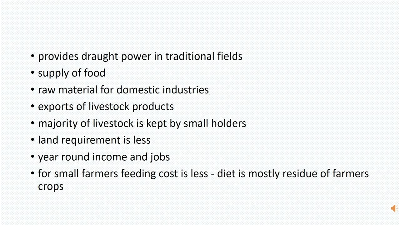 Importance of Livestock Farming YouTube