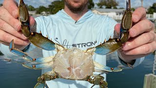 2 Steps To Clean A Blue Crab (The Quick & Easy Way) screenshot 4